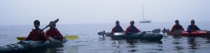 sea kayak doubles
